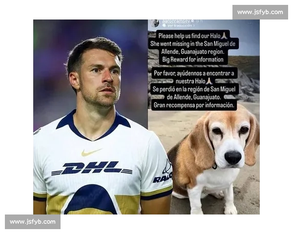 拉姆塞悬赏万美金寻犬 Halo，三周搜寻仍盼归期