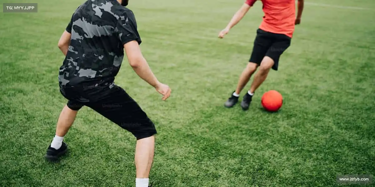 <strong>豪利777</strong>✨ 运动是信仰，汗水是勋章！